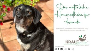 Die nat&uuml;rliche Hausapotheke f&uuml;r Hunde