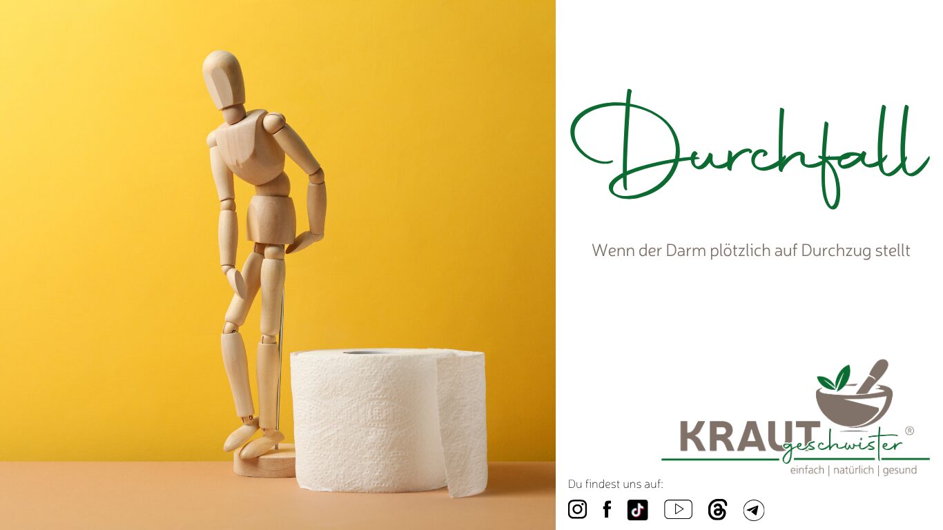 Mehr über den Artikel erfahren Durchfall: Wenn der Darm plötzlich auf Durchzug stellt