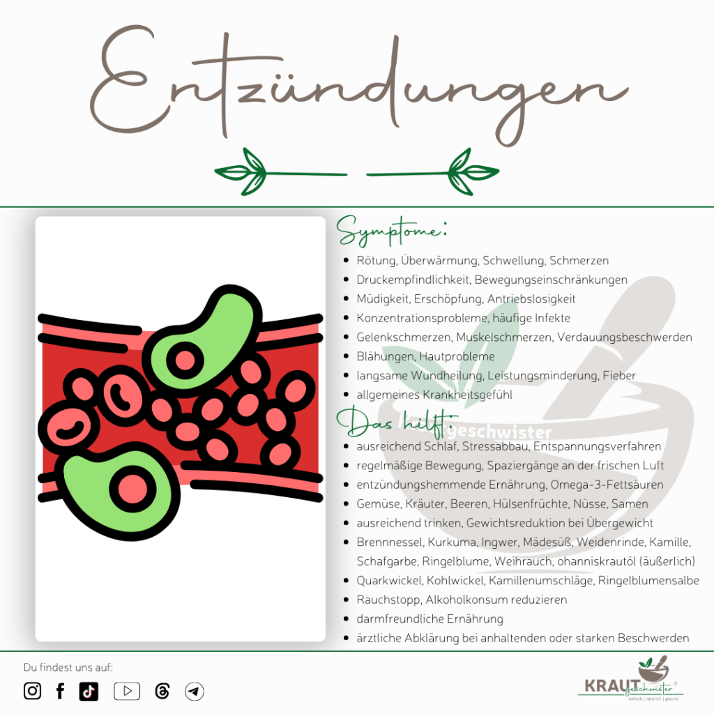 Entzündungen im Körper natürlich begleiten