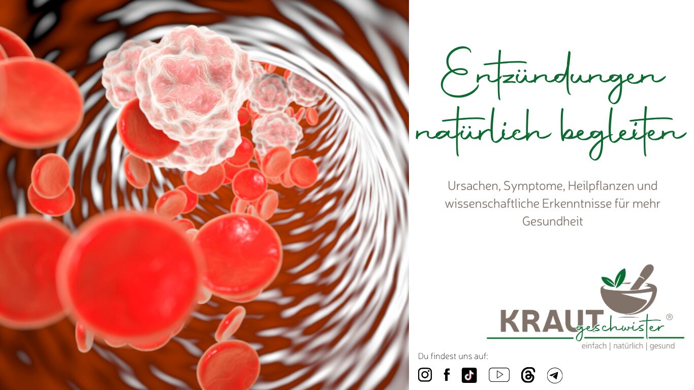 Mehr über den Artikel erfahren Entzündungen im Körper natürlich begleiten
