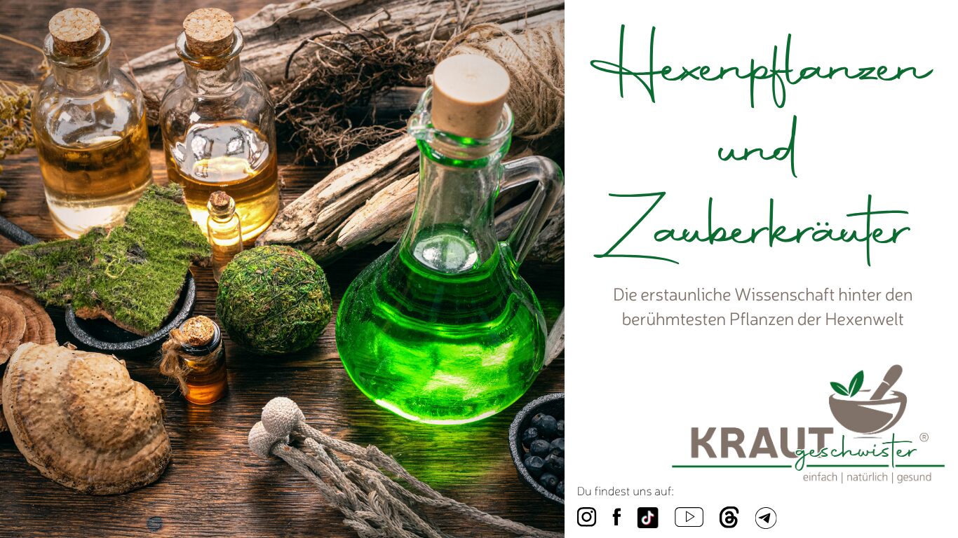 Hexenpflanzen und Zauberkr&auml;uter &ndash; Die erstaunliche Wissenschaft hinter den ber&uuml;hmtesten Pflanzen der Hexenwelt