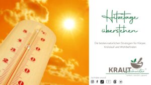 Hitzetage &uuml;berstehen: Die besten nat&uuml;rlichen Strategien f&uuml;r K&ouml;rper, Kreislauf und Wohlbefinden