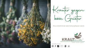 Kräuter gegen böse Geister – Was wirklich hinter alten Schutzpflanzen steckt