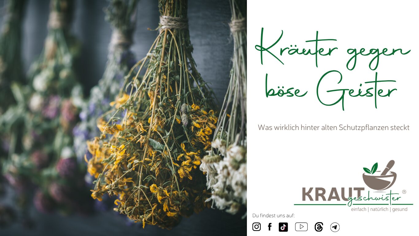 Kräuter gegen böse Geister – Was wirklich hinter alten Schutzpflanzen steckt