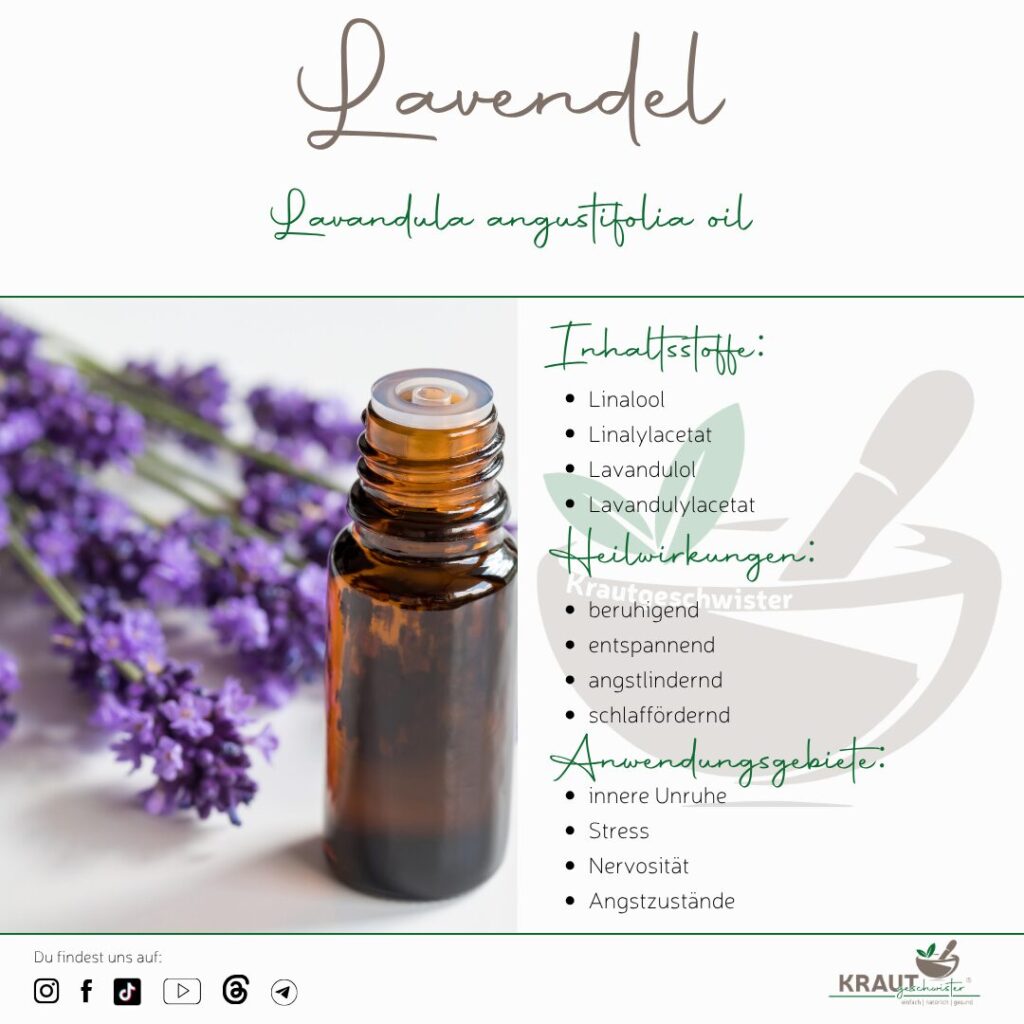 Ätherisches Lavendelöl – Duft, Nervensystem und sichere Anwendung