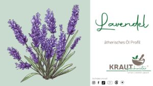 &Auml;therisches Lavendel&ouml;l &ndash; Duft, Nervensystem und sichere Anwendung