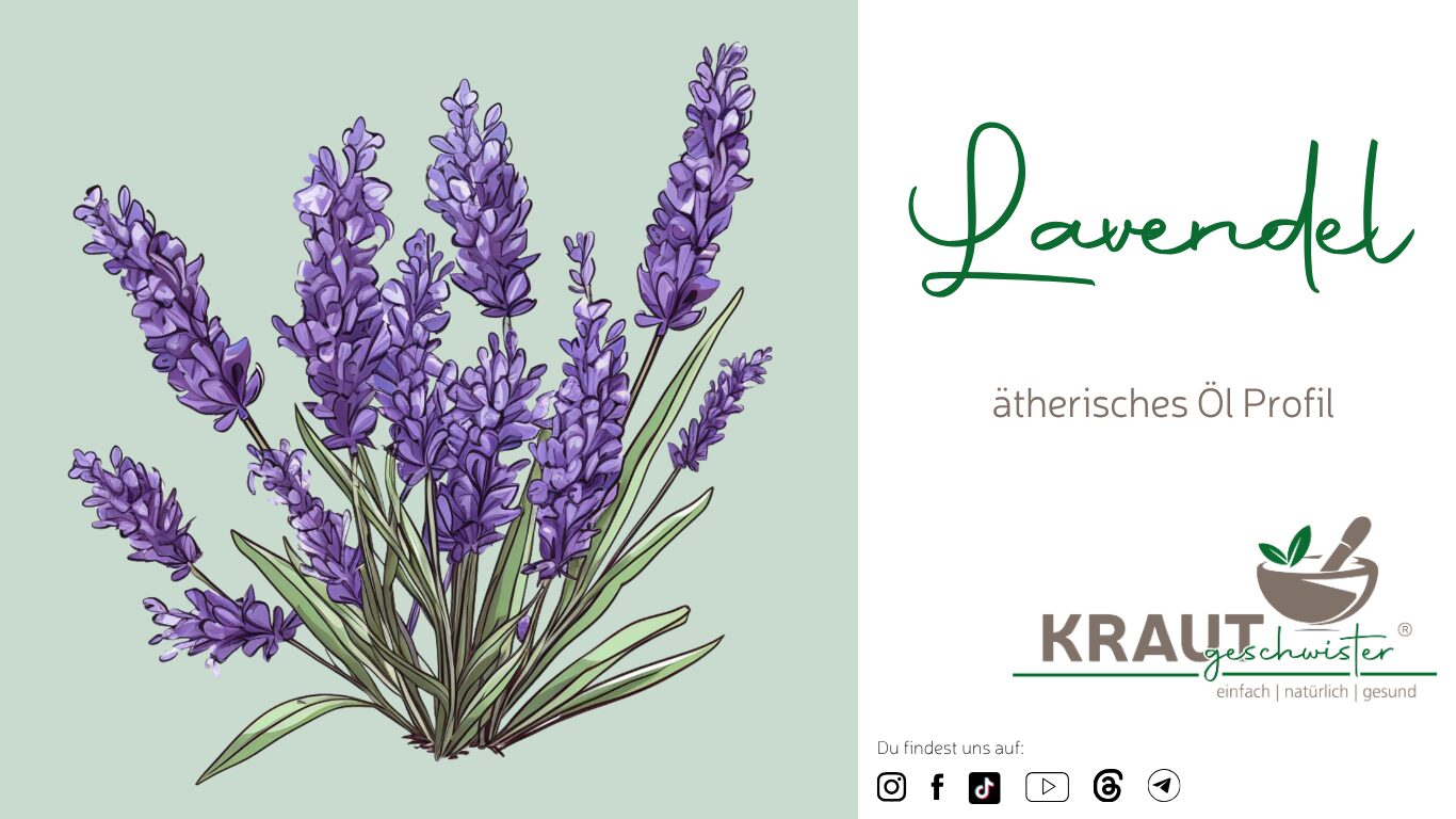 Ätherisches Lavendelöl – Duft, Nervensystem und sichere Anwendung