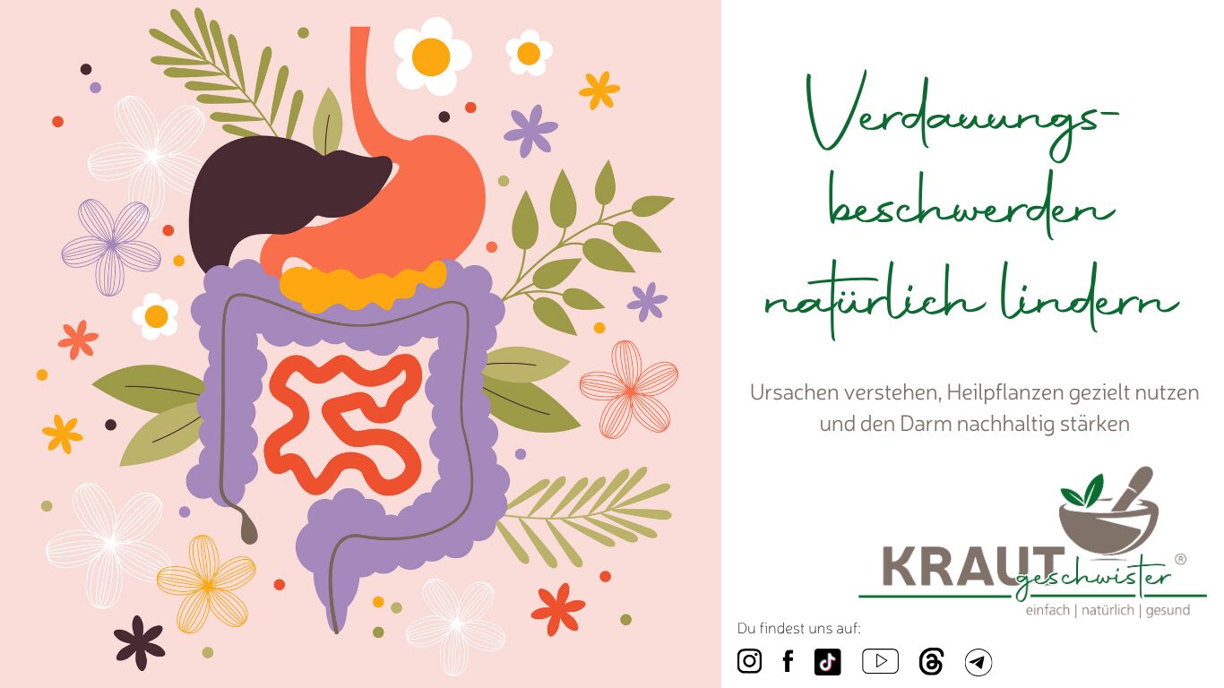 Mehr über den Artikel erfahren Verdauungsbeschwerden natürlich lindern