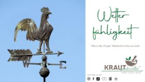 Wetterfühligkeit – Wenn der Körper Wetterberichte schreibt