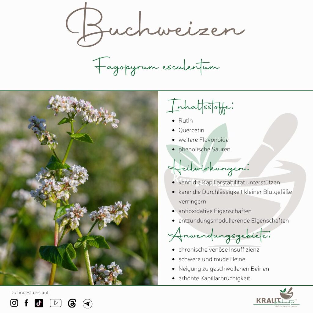Buchweizen: Das Korn, das keines ist