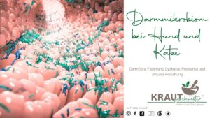 Darmmikrobiom bei Hund und Katze
