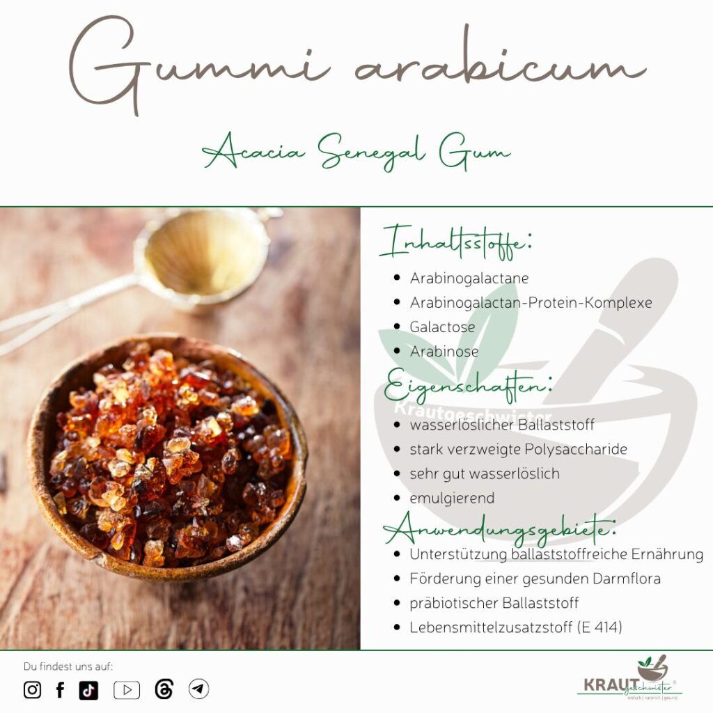 Gummi arabicum: Der unsichtbare Helfer aus der Trockensavanne