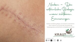 Narben – Die erstaunliche Biologie unserer sichtbaren Erinnerungen