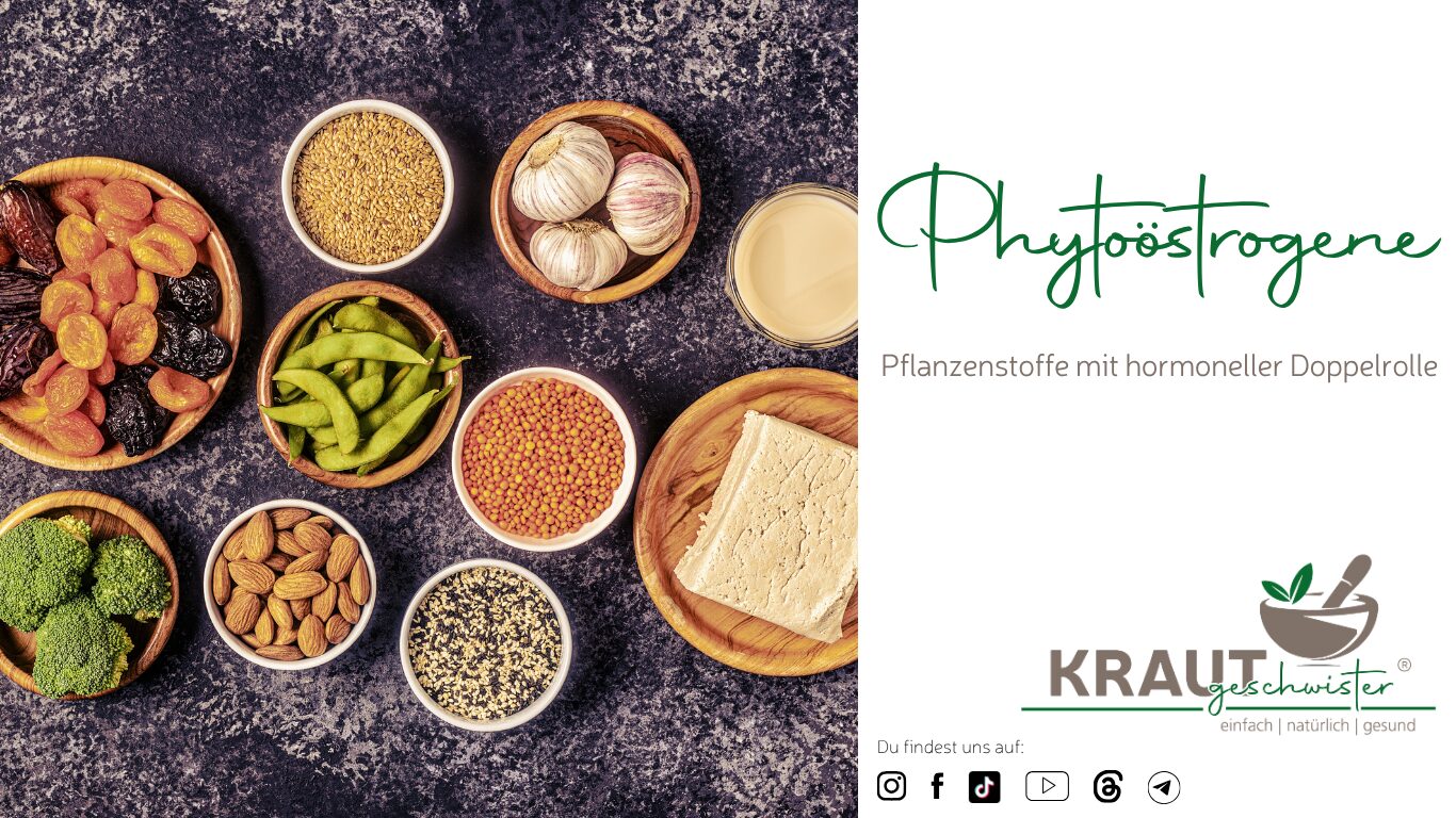 Phyto&ouml;strogene: Pflanzenstoffe mit hormoneller Doppelrolle