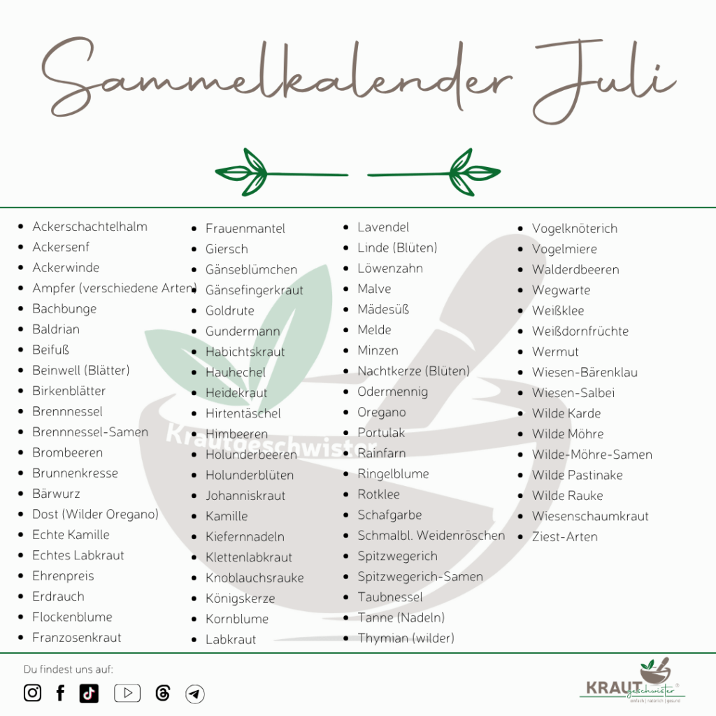 Sammelkalender Juli