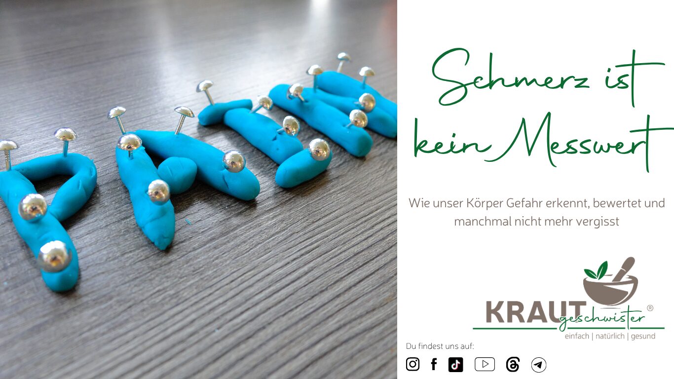Mehr über den Artikel erfahren Schmerz ist kein Messwert: Wie unser Körper Gefahr erkennt, bewertet und manchmal nicht mehr vergisst