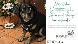 Natürliche Unterstützung bei Stress und Angst bei Hunden