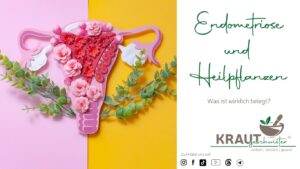 Endometriose und Heilpflanzen: Was ist wirklich belegt?