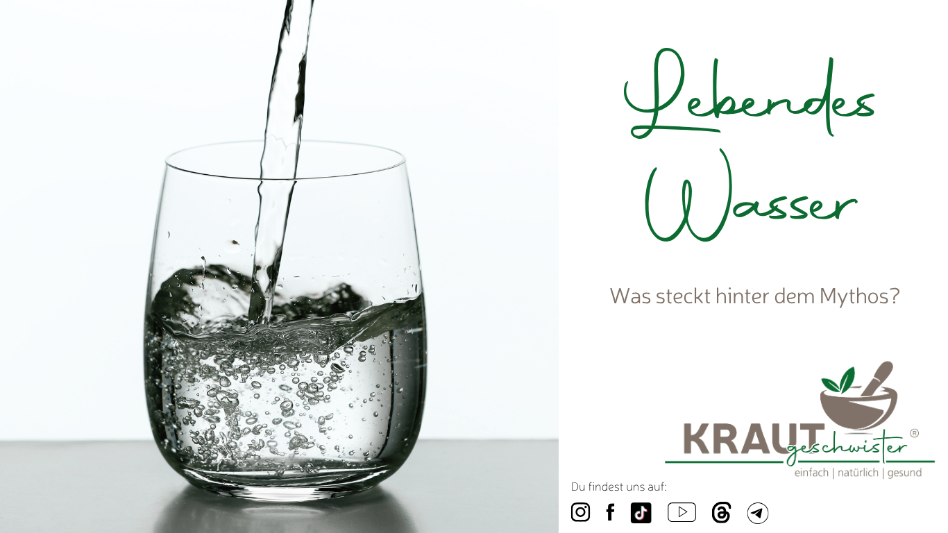 Mehr über den Artikel erfahren Lebendes Wasser: Was steckt hinter dem Mythos?