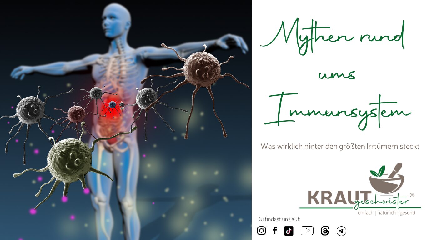 Mythen rund ums Immunsystem – was wirklich hinter den größten Irrtümern steckt