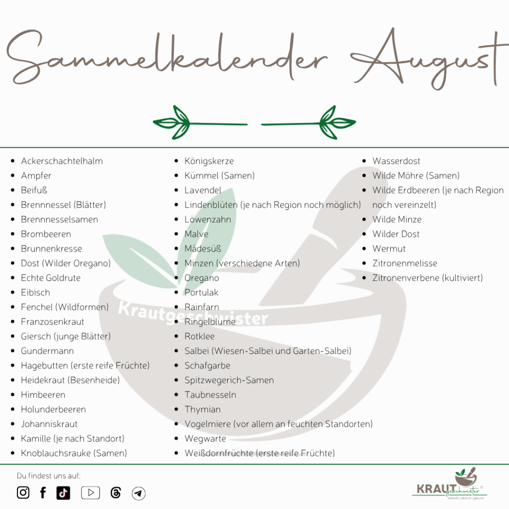 Sammelkalender August