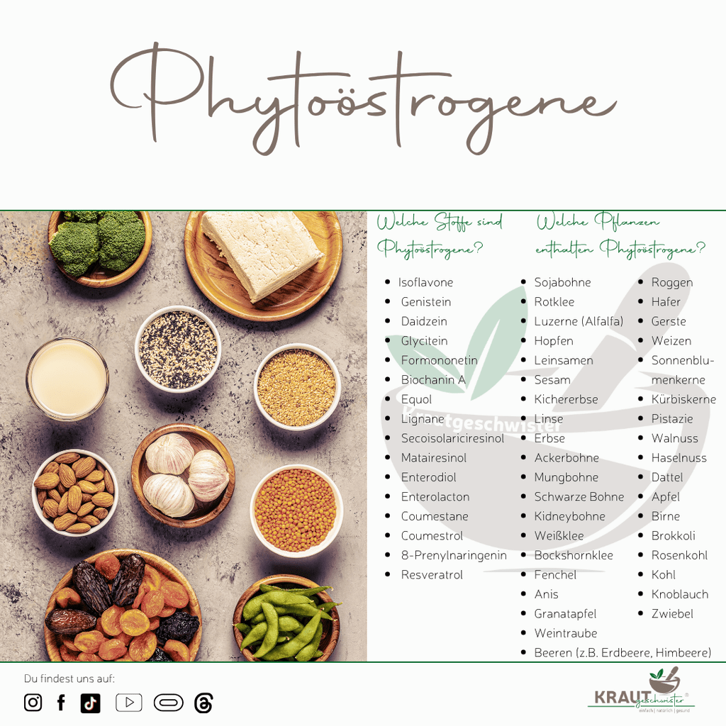Phyto&ouml;strogene: Pflanzenstoffe mit hormoneller Doppelrolle