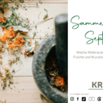Sammelkalender September