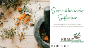 Sammelkalender September