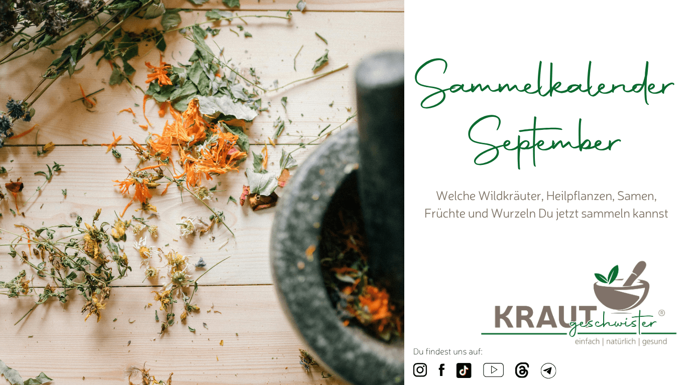 Sammelkalender September