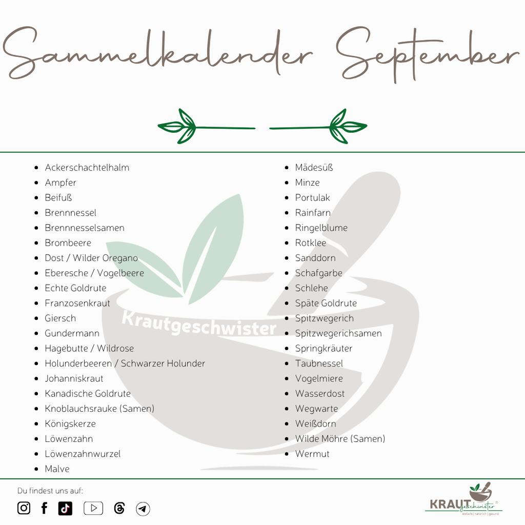 Sammelkalender September