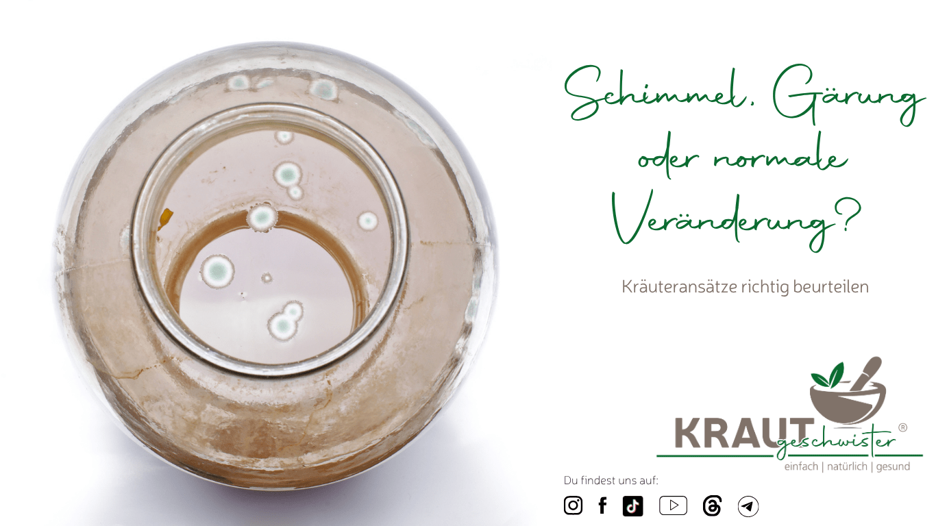 Schimmel, G&auml;rung oder normale Ver&auml;nderung? Kr&auml;uterans&auml;tze richtig beurteilen