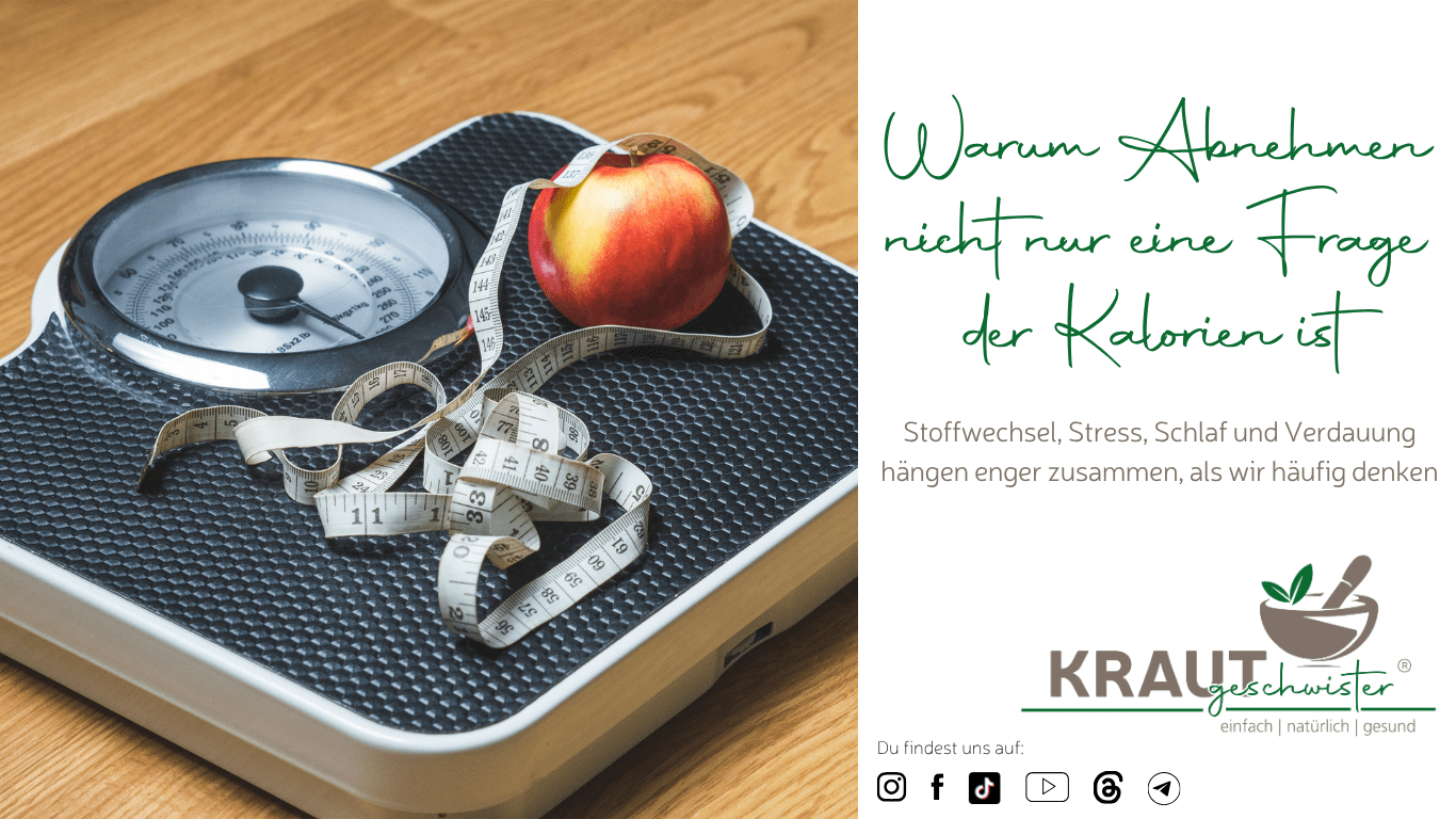 Warum Abnehmen nicht nur eine Frage der Kalorien ist
