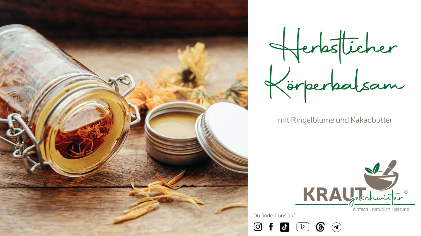 Herbstlicher K&ouml;rperbalsam mit Ringelblume und Kakaobutter